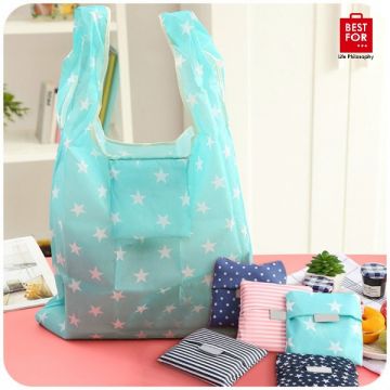 Reusable Foldable Shopping Bag (009)